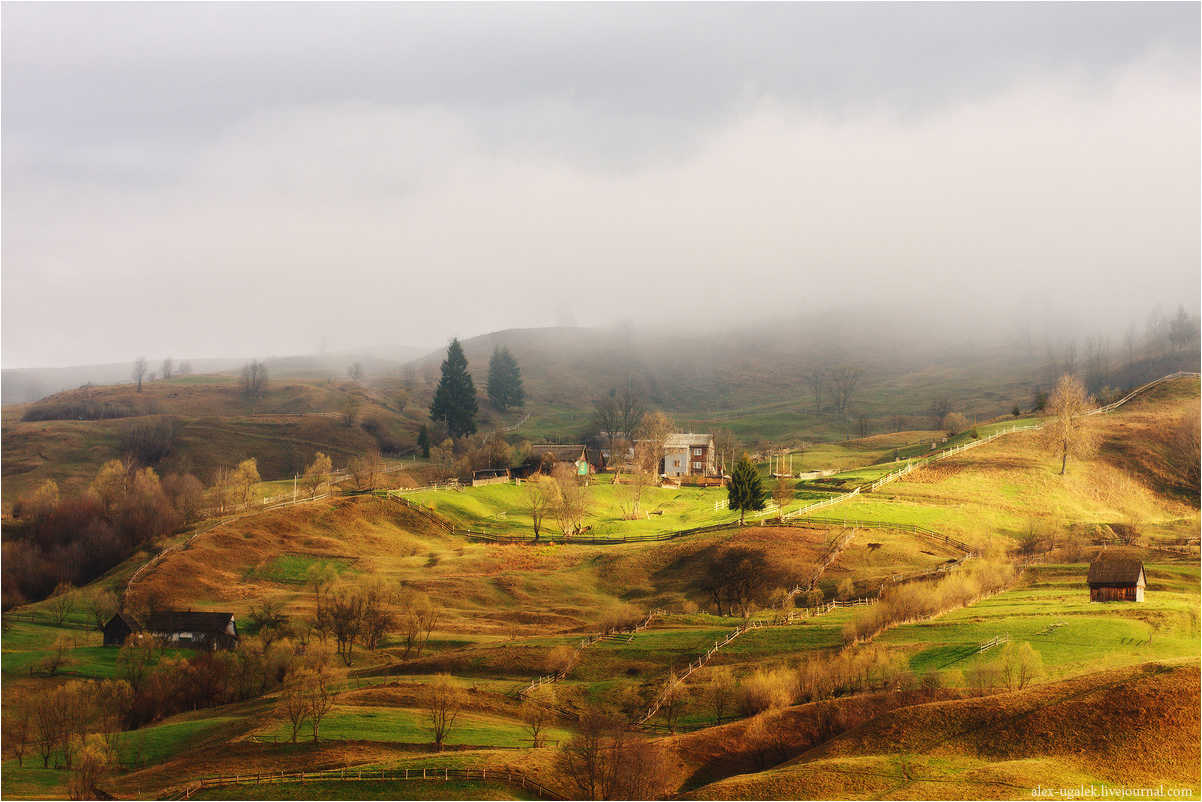 .........Карпатская весна.........