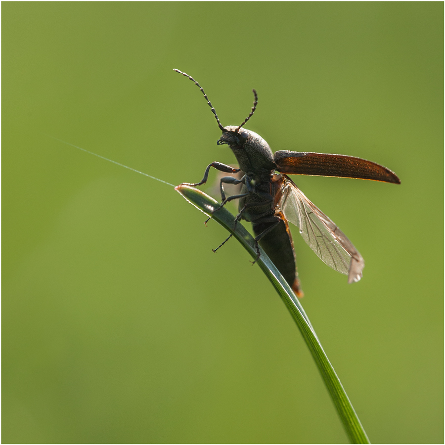 НА ВЗЛЁТЕ...