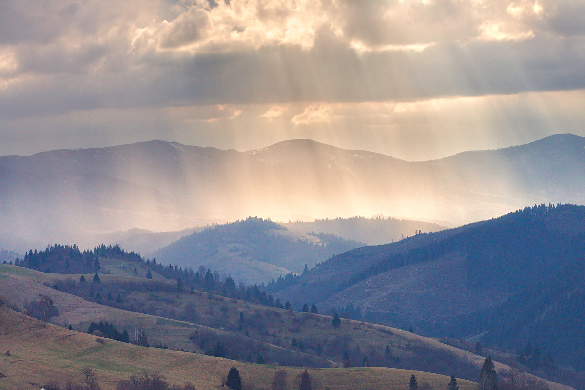 .......Весенний проливной свет.....