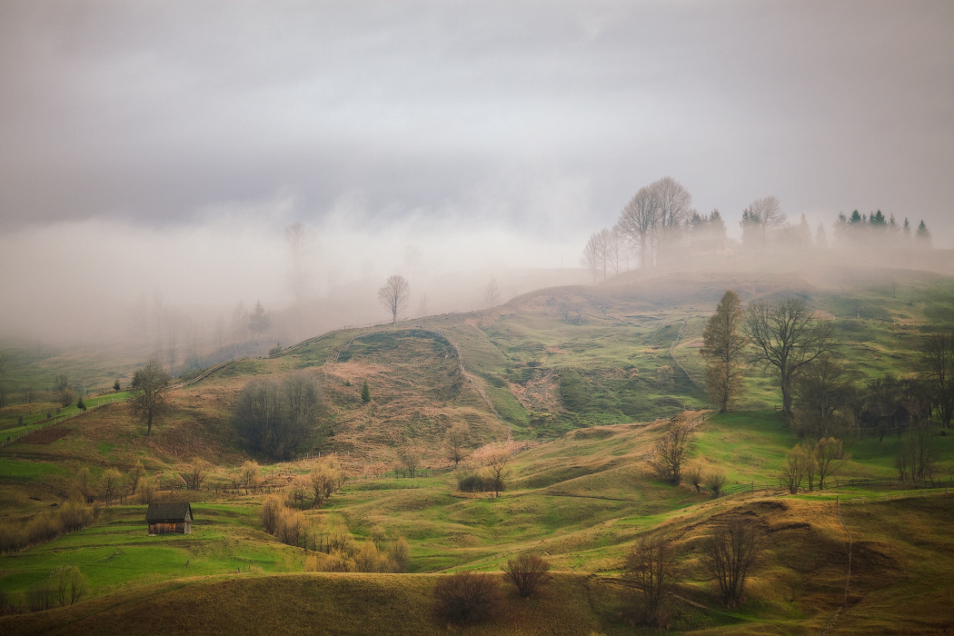 Утренняя Акварель