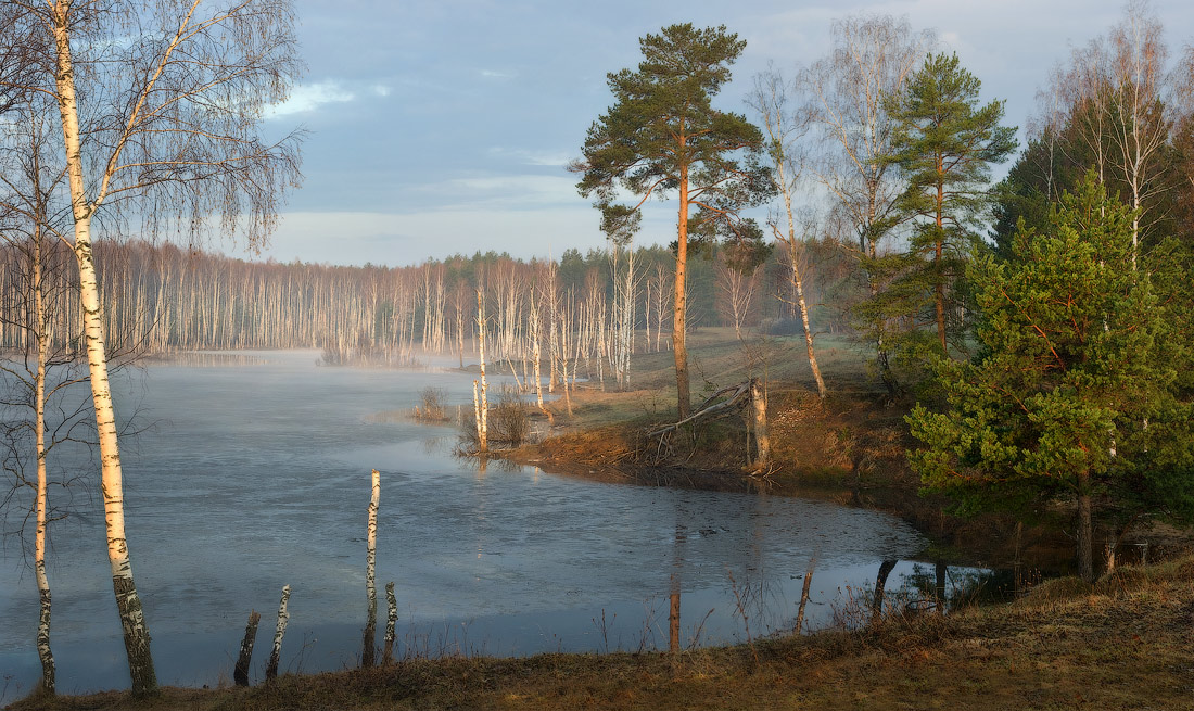 Утро на  Саврасове