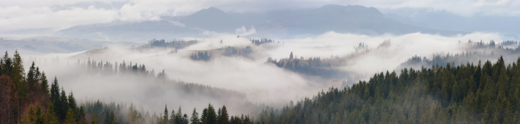 .......Туманной рекой.......