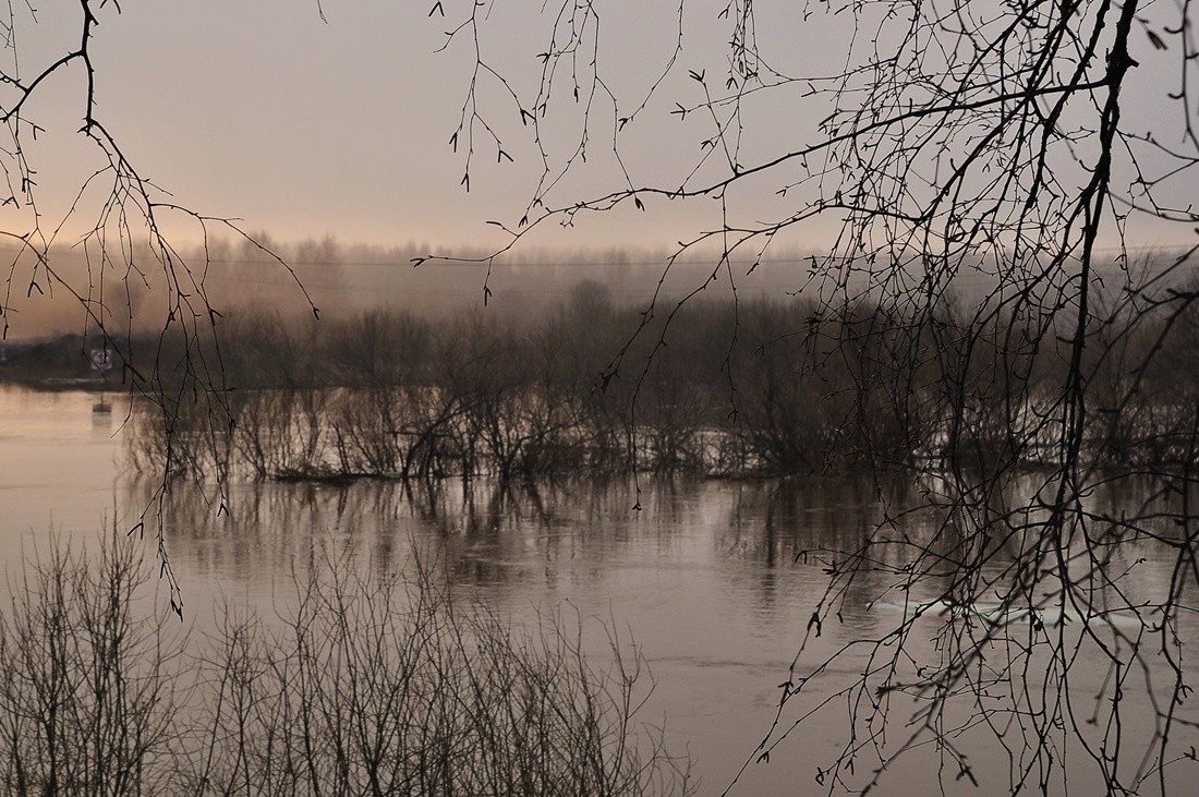 Где-то в ветках затерялся мой апрель