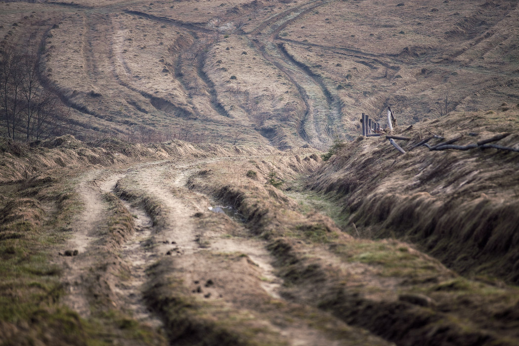 Апрельский буерак