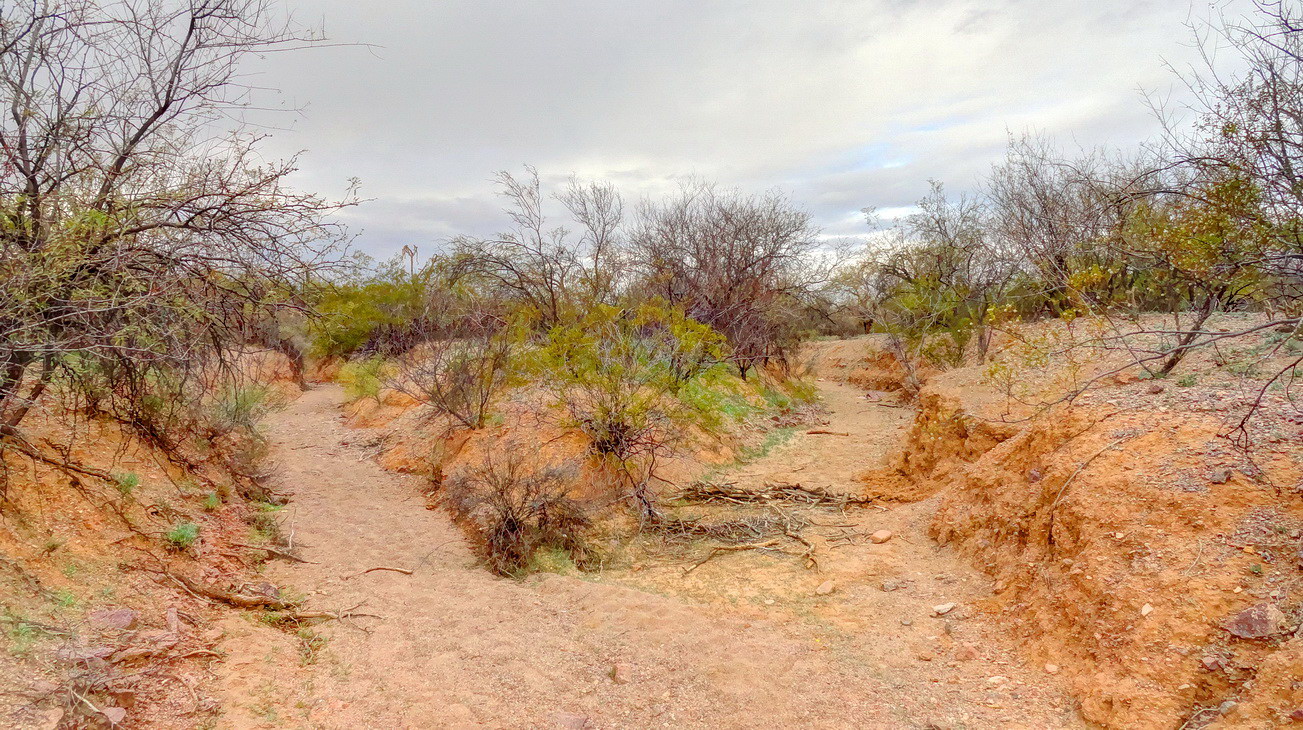 реки Тусона ..2