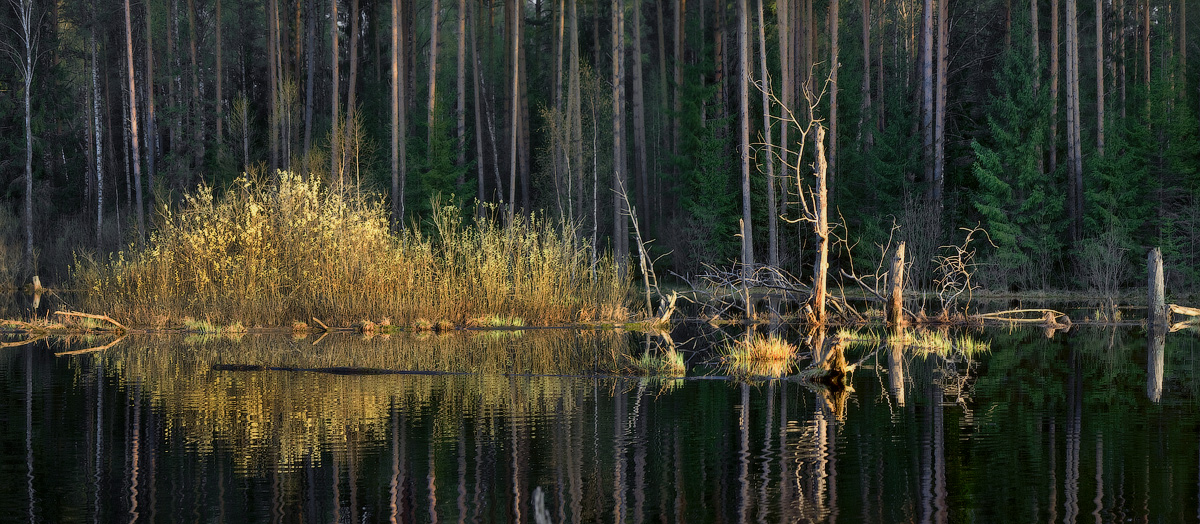 Вечернее зеркало половодья