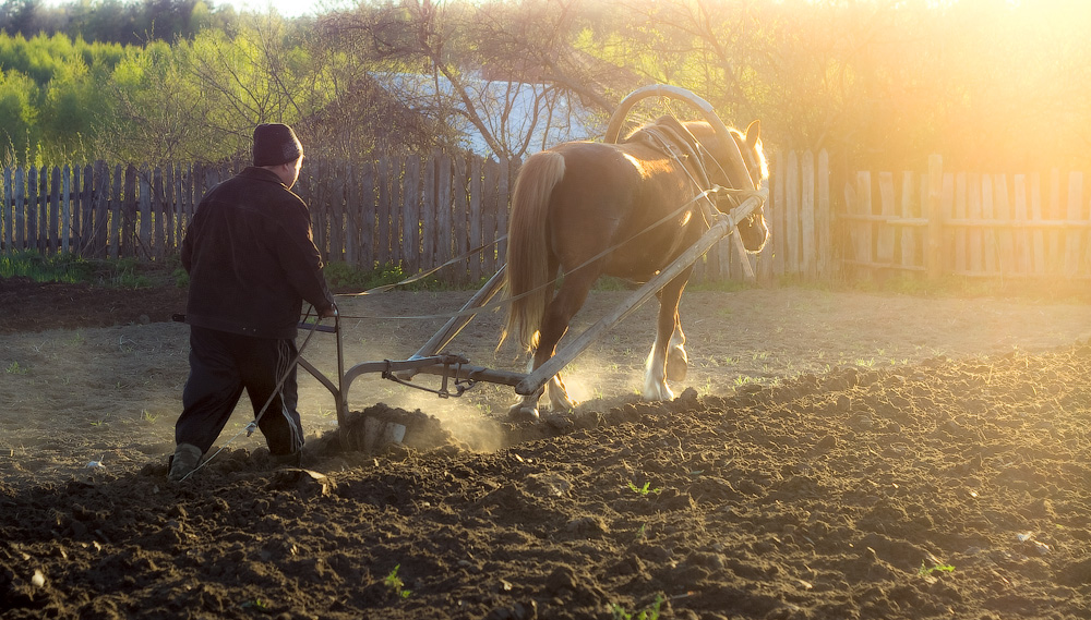 Весенне-полевая