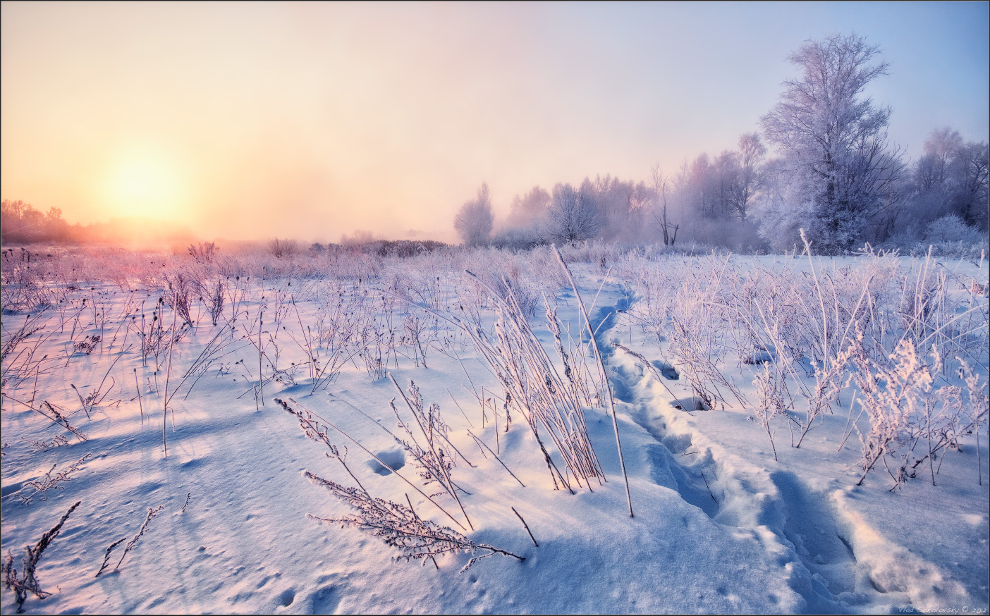 / Одним морозным утром ..... /