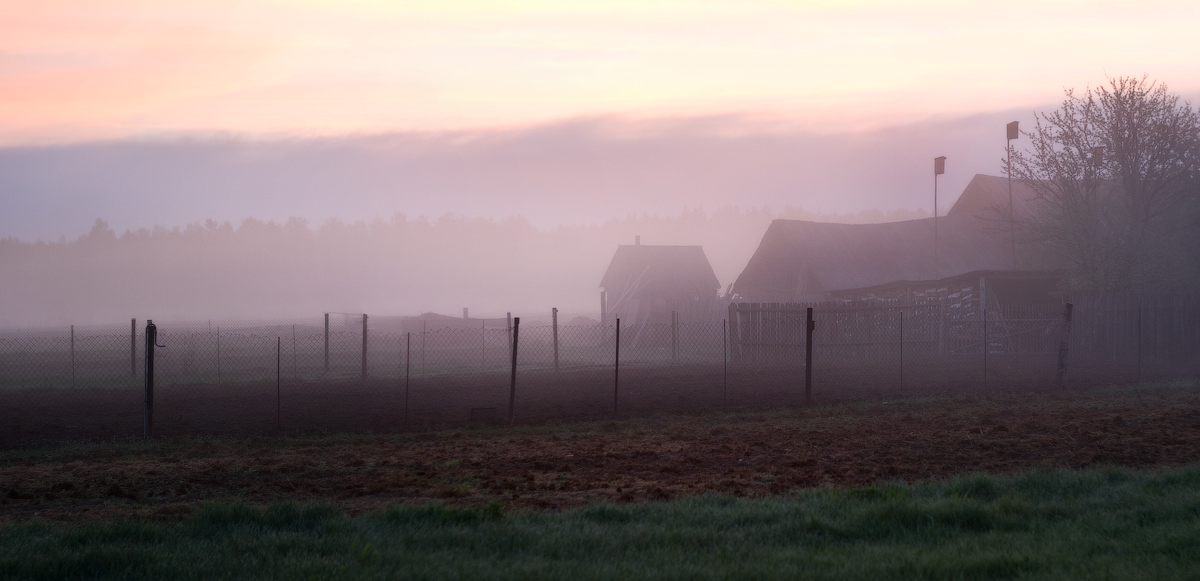 Просыпается деревня