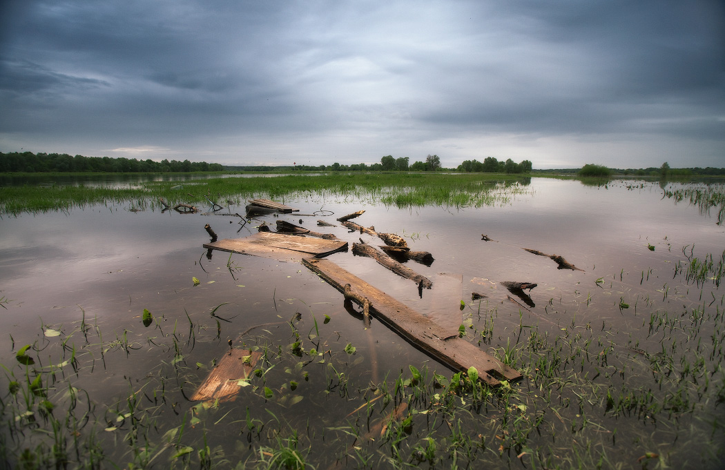 Майский Разлив