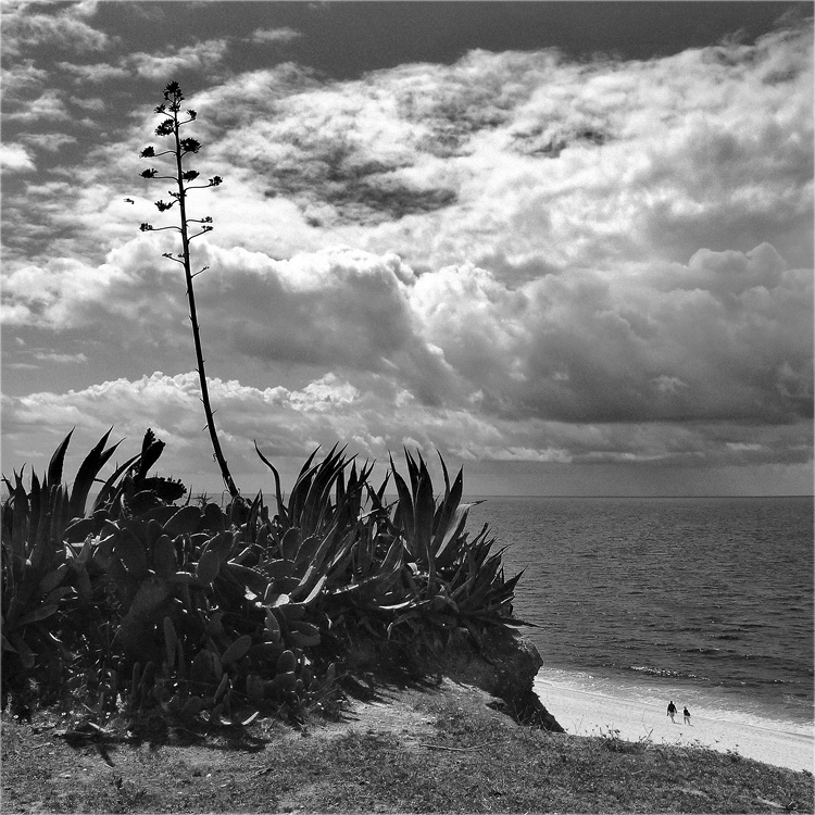 Один плюс два