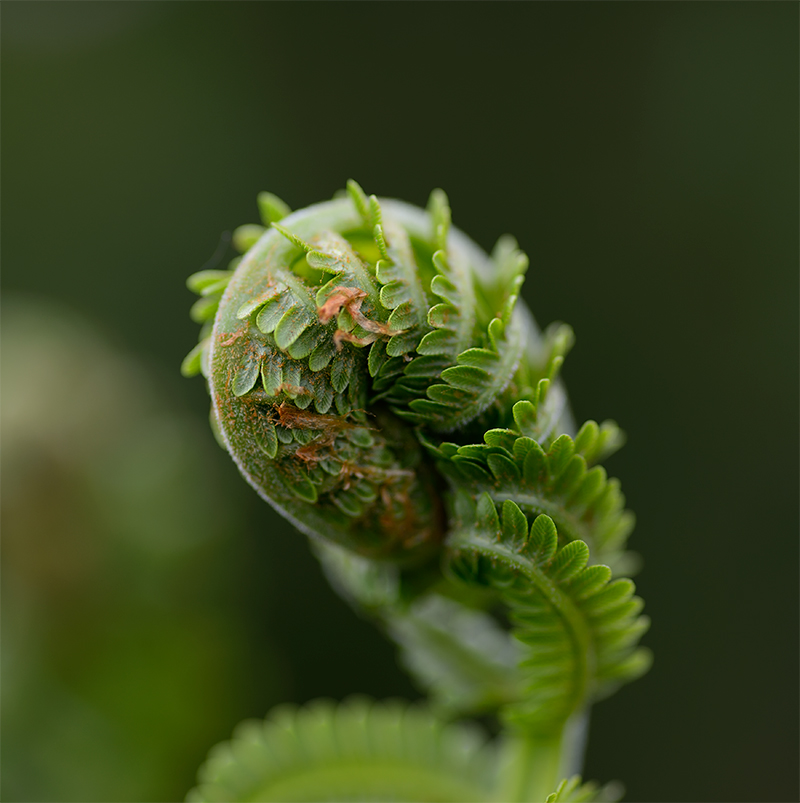 ... awakening from hibernation