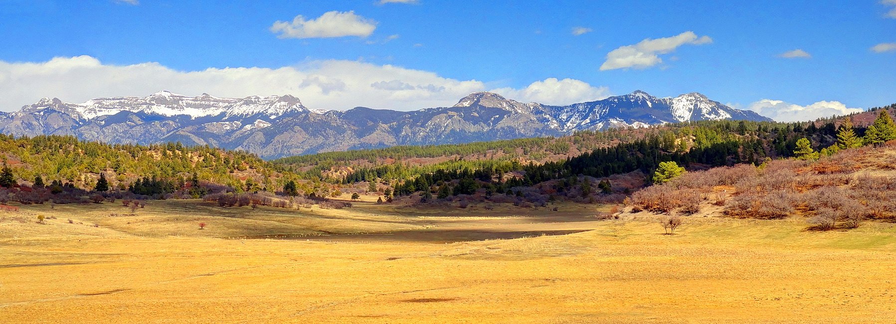 каляровы Каларада