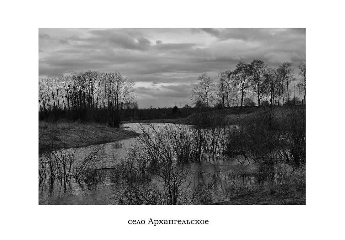 Этюд в чёрно-белых тонах