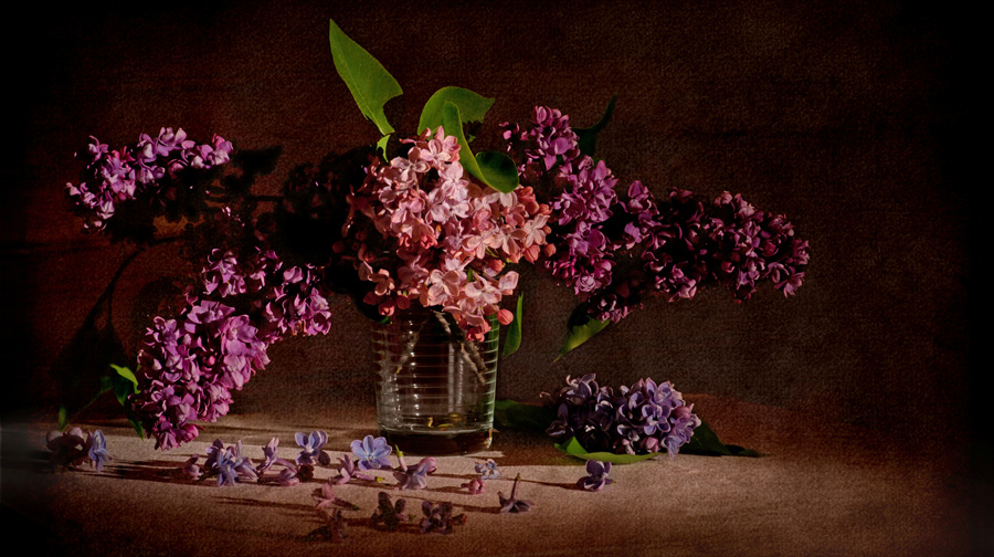 О сирени кое-что...