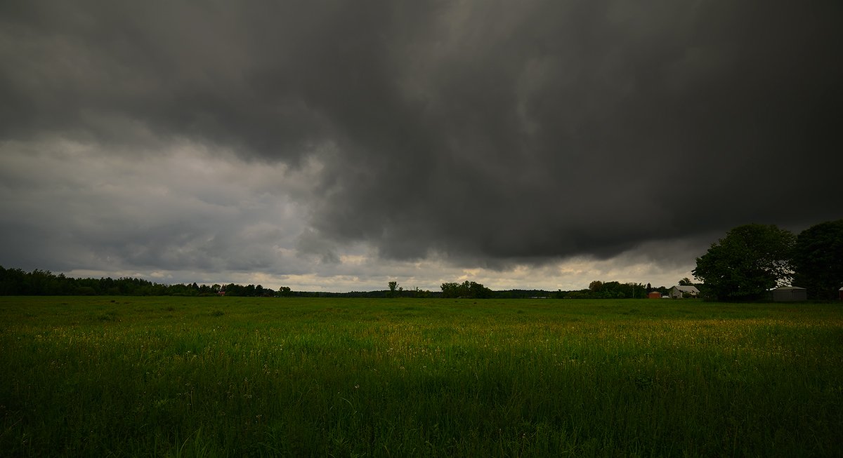 ....поля-тополя