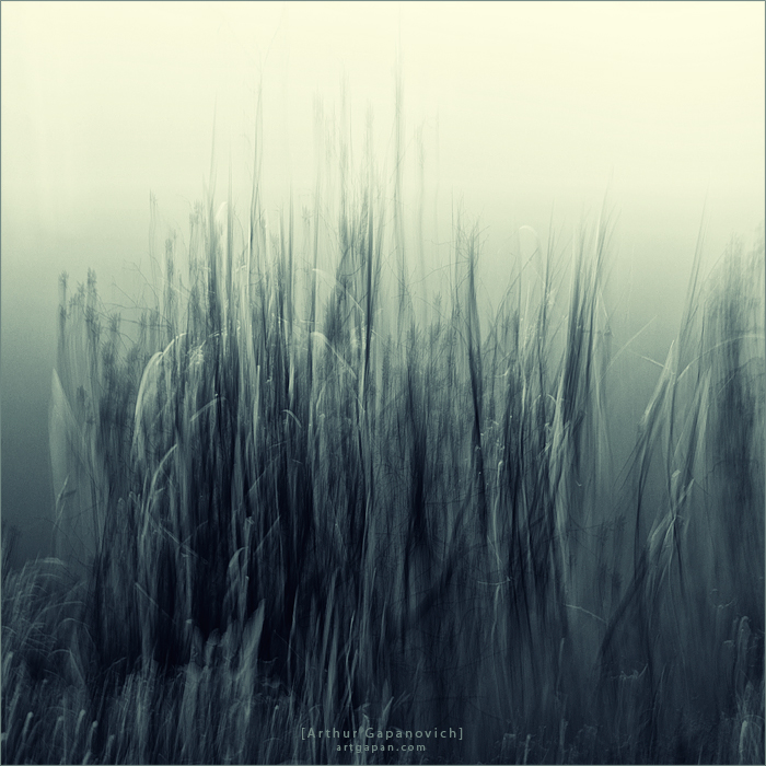 [В траве Высоких Снов...]