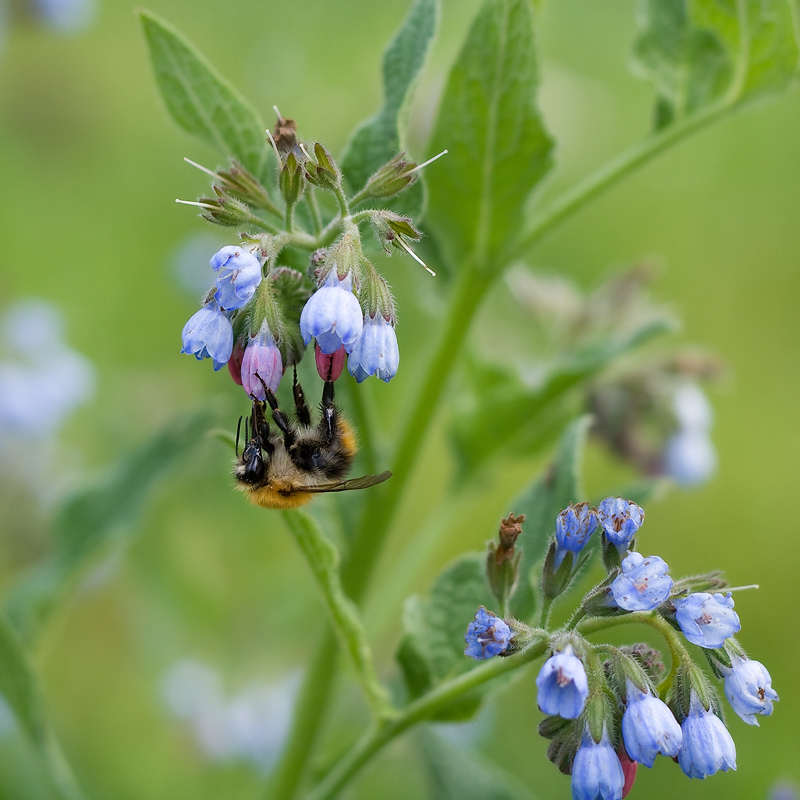 Позавтракать в красоте