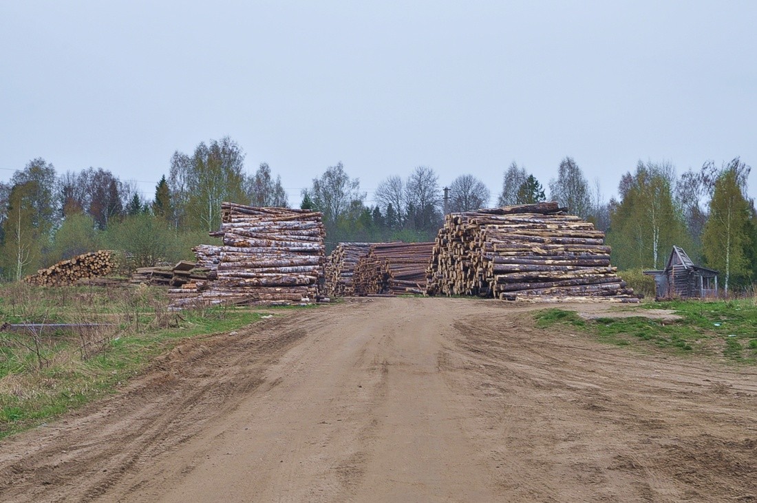 Позади Большого села