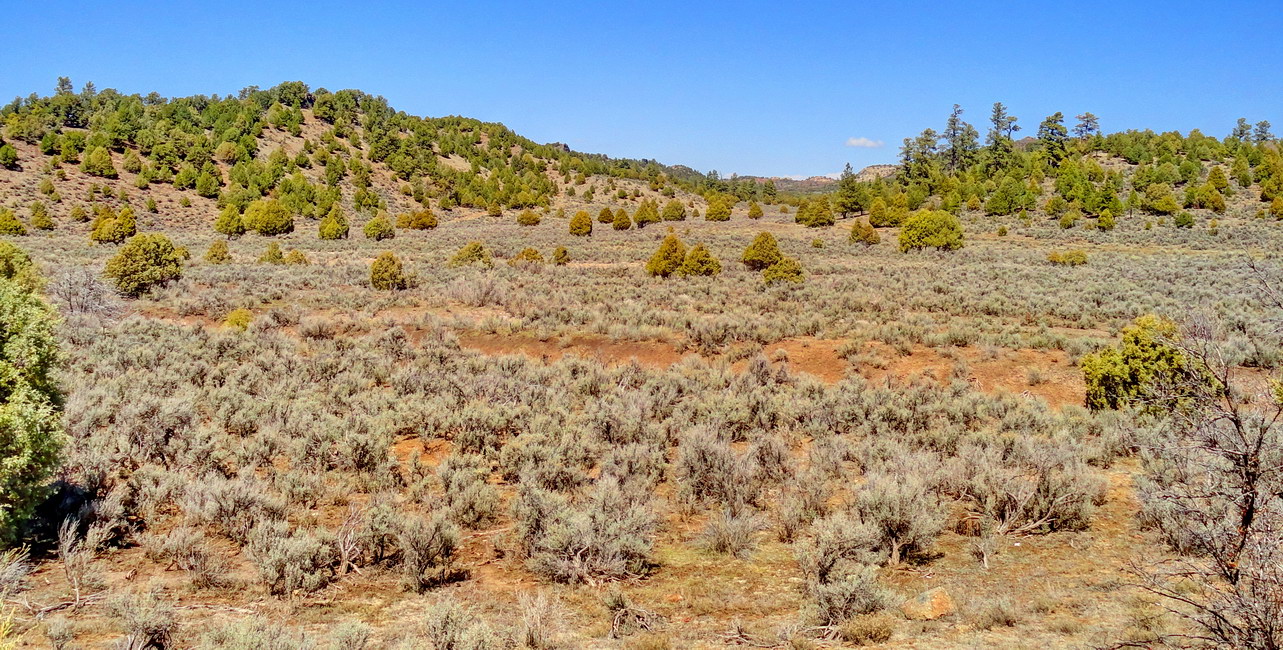 палитра Колорадо