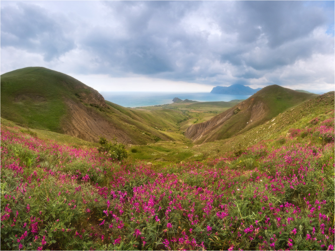 .........Весна в Крыму........