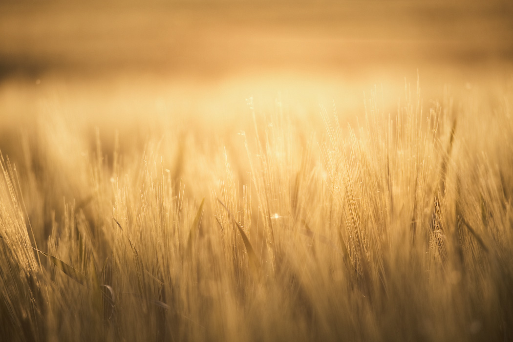 Настроение