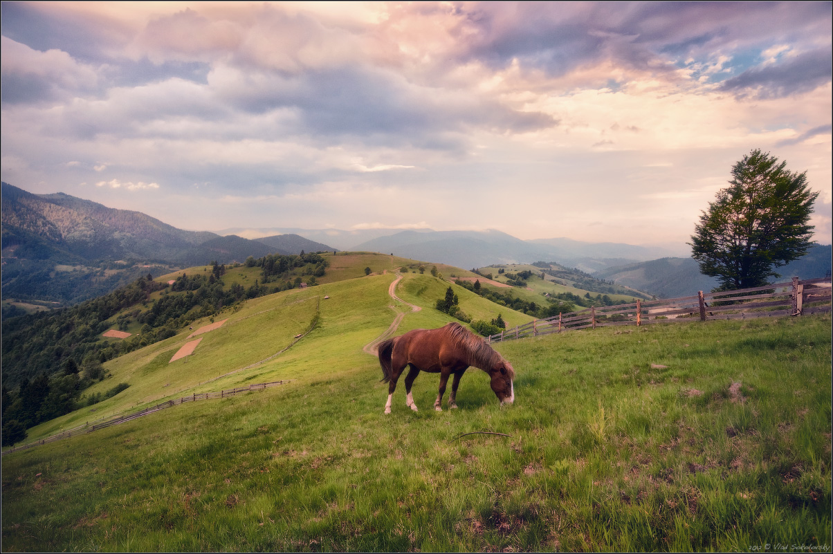 / На просторах Карпат /