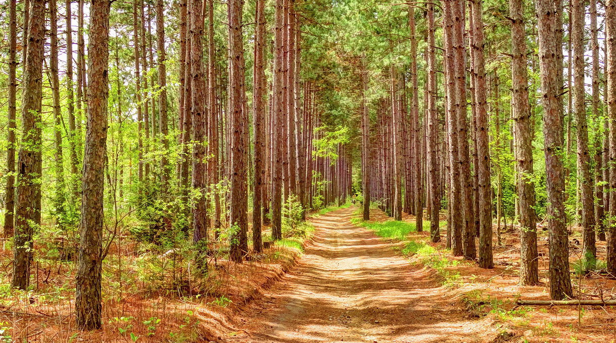 весна в Ганараске