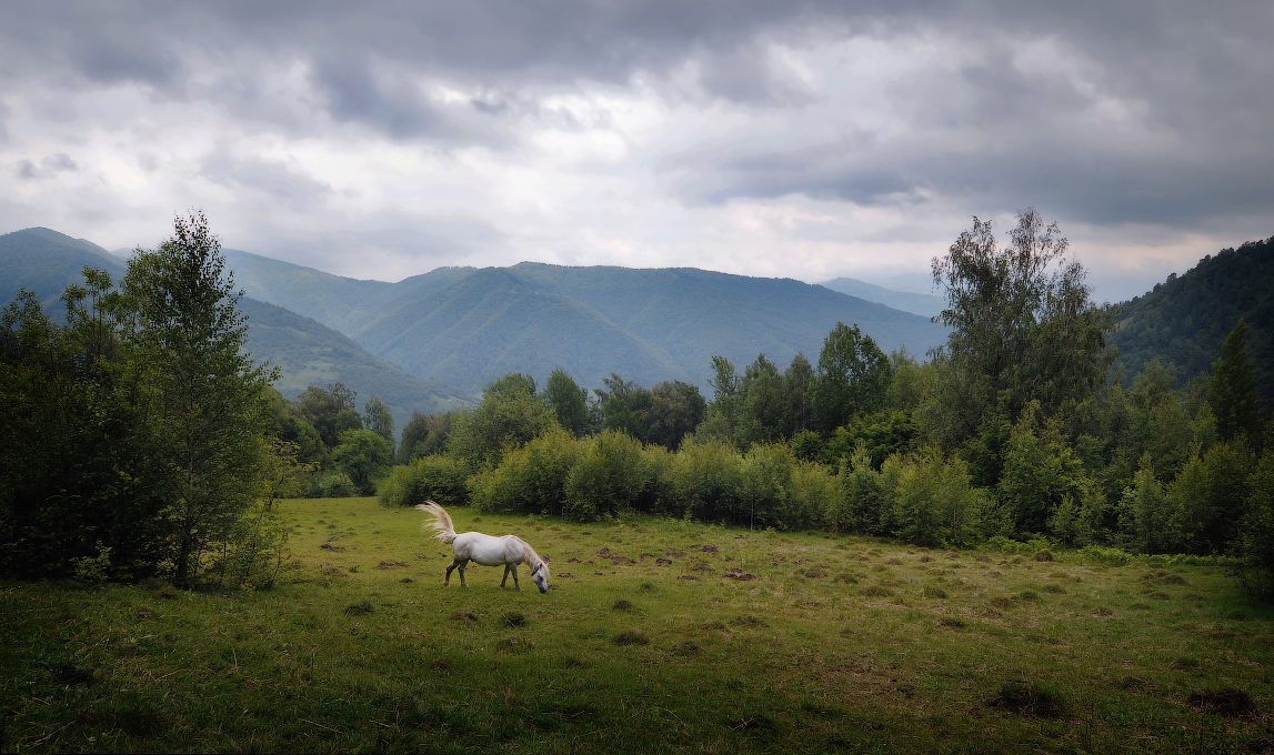 Закарпатская вольница...