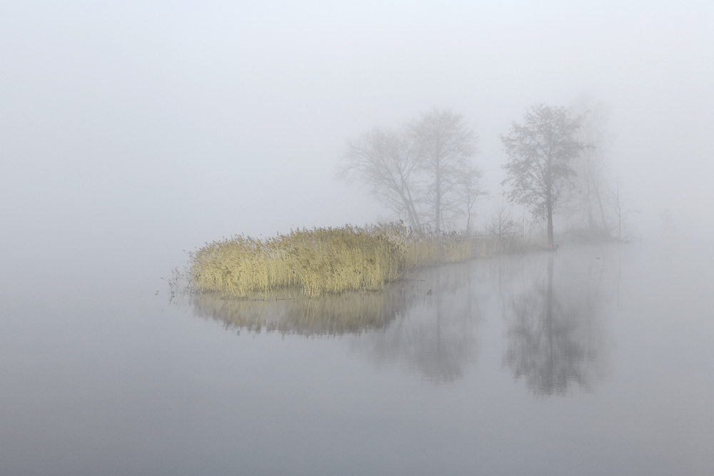 Рано утром на рассвете