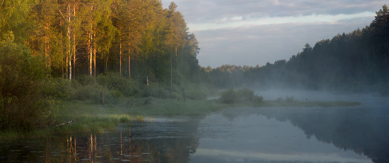 Коснулись лучи