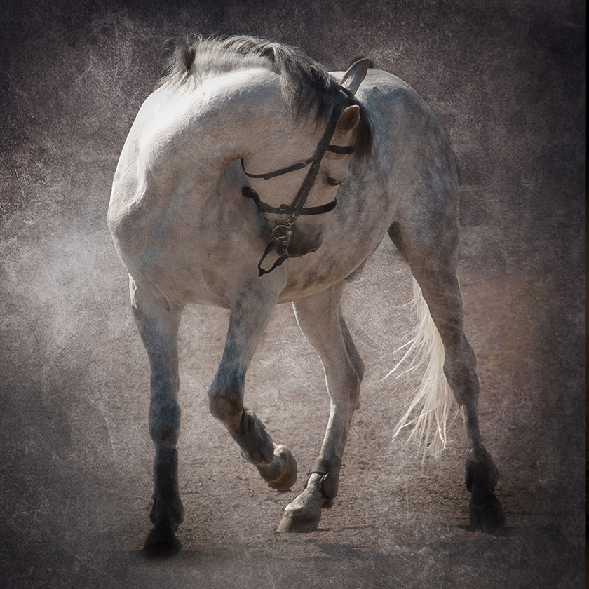 Портрет друга