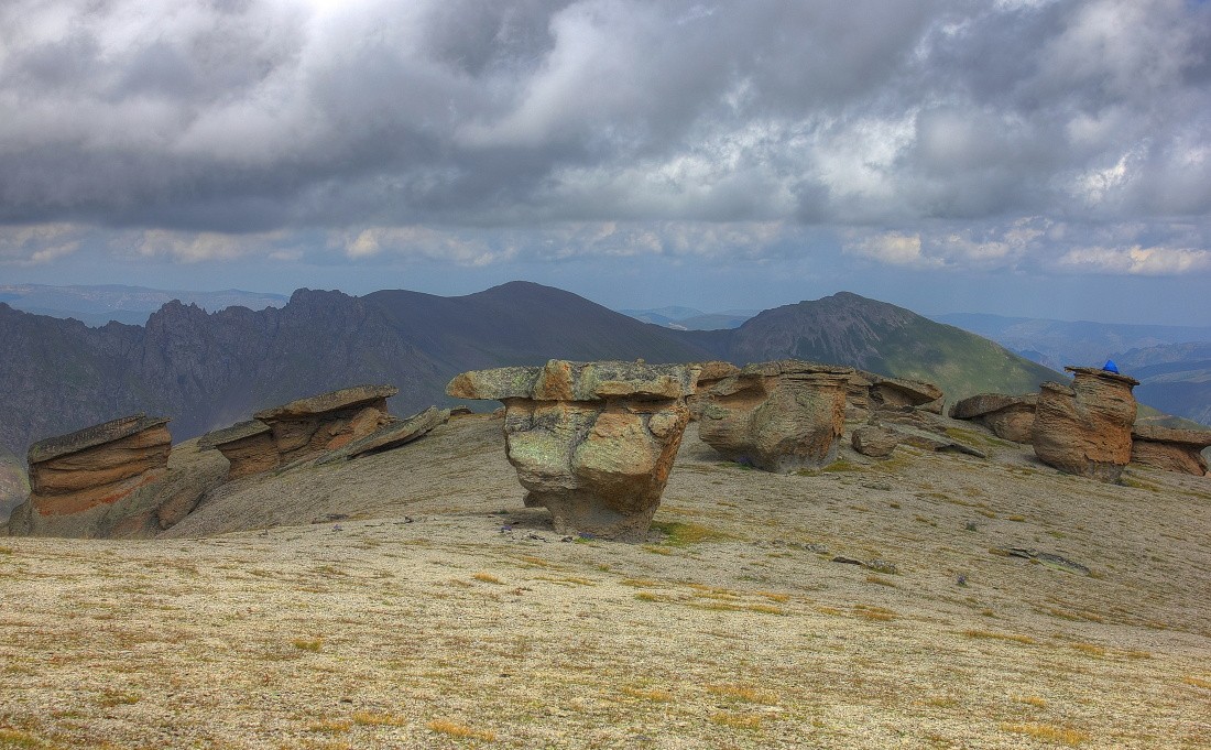 Каменные грибы