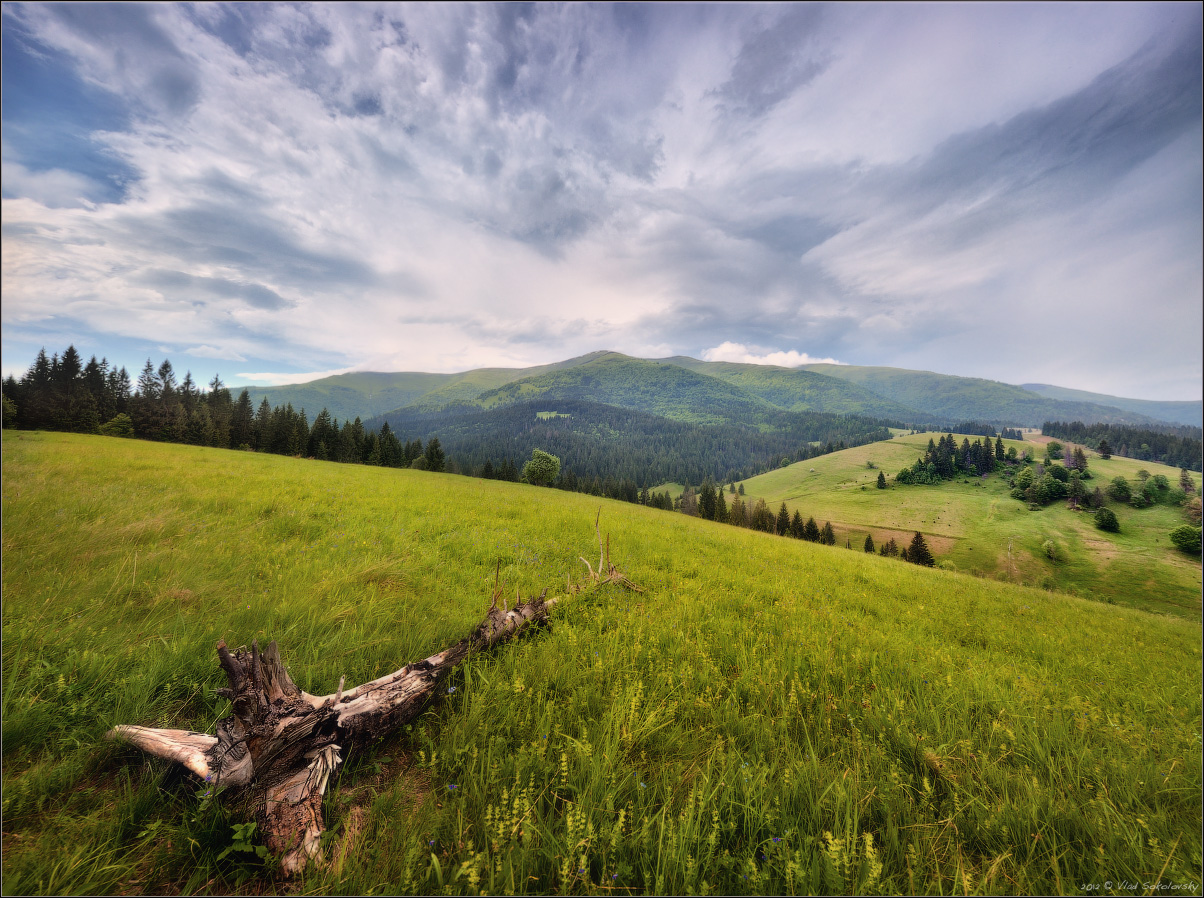 / Пасмурные Карпаты /