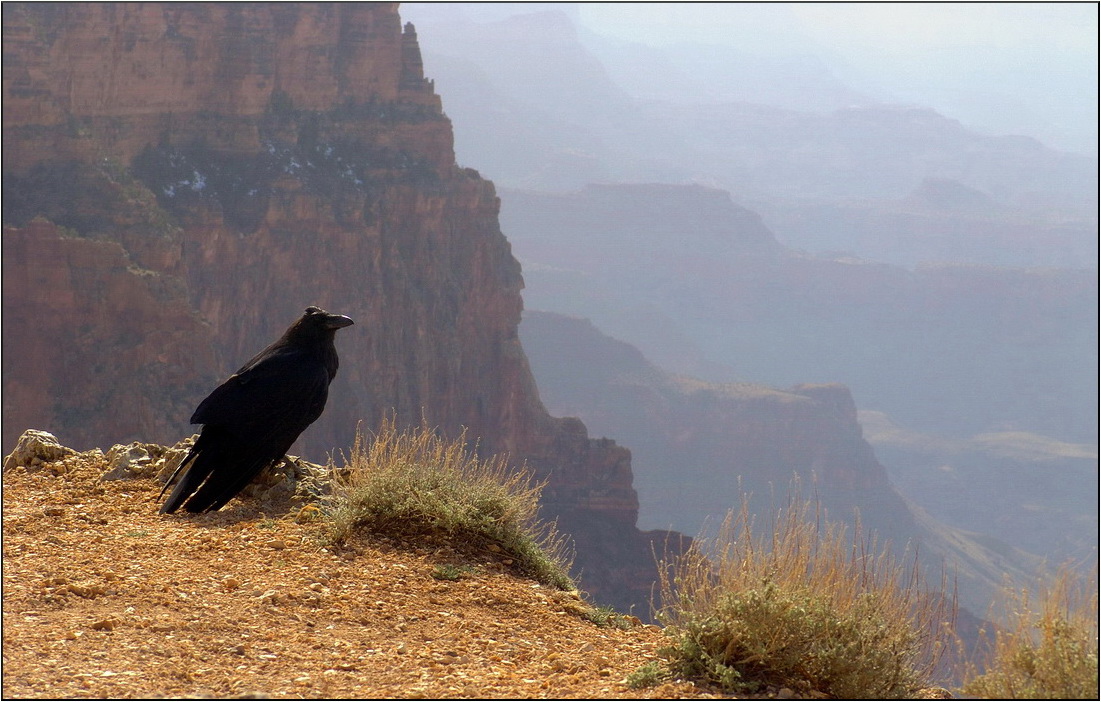 хранитель каньона