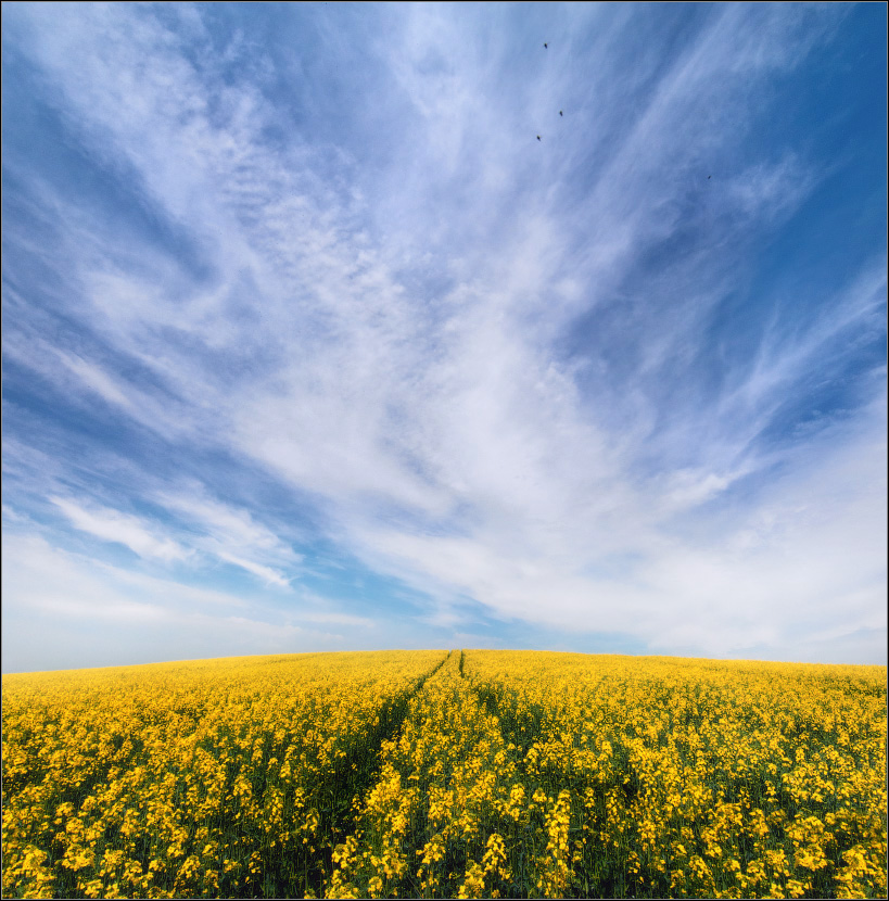/ По дороге с облаками ... /
