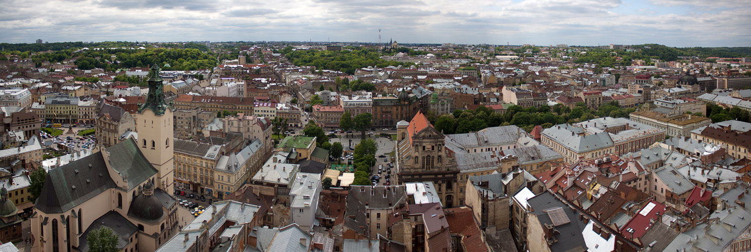 Львовские крыши