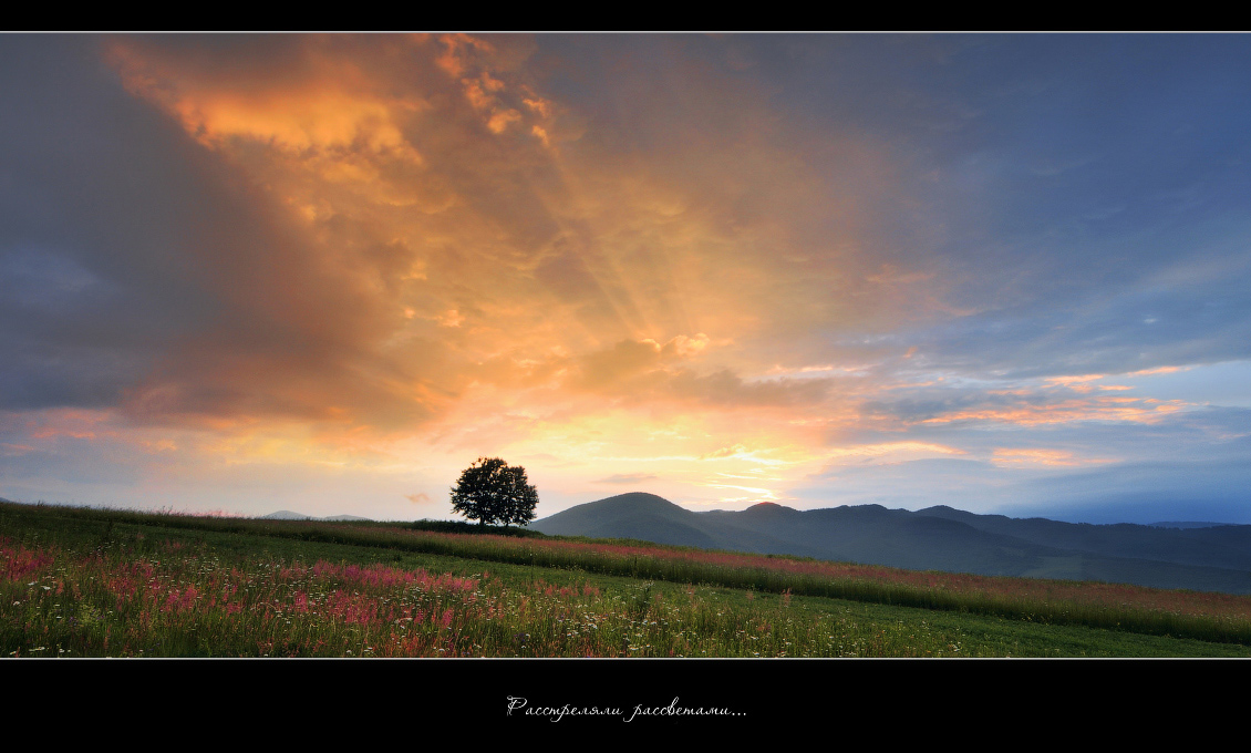 Расстреляли рассветами...