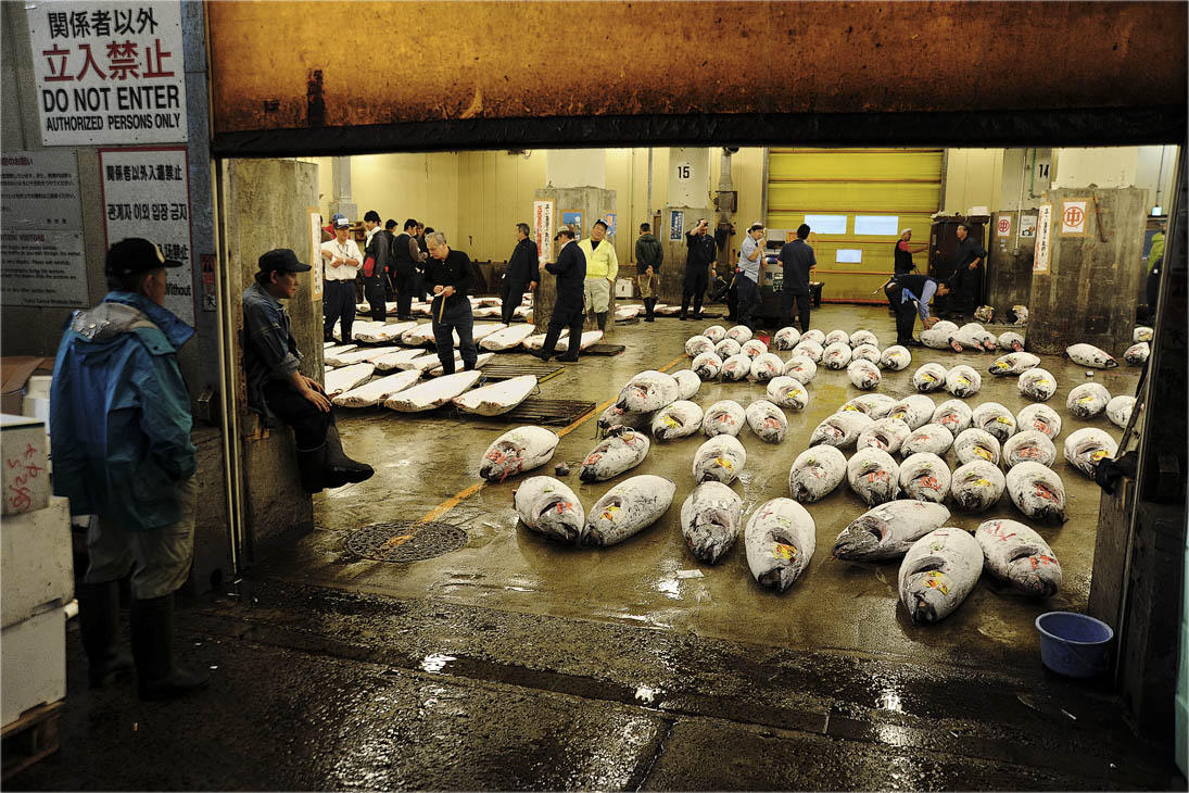 Утро в Цукидзи