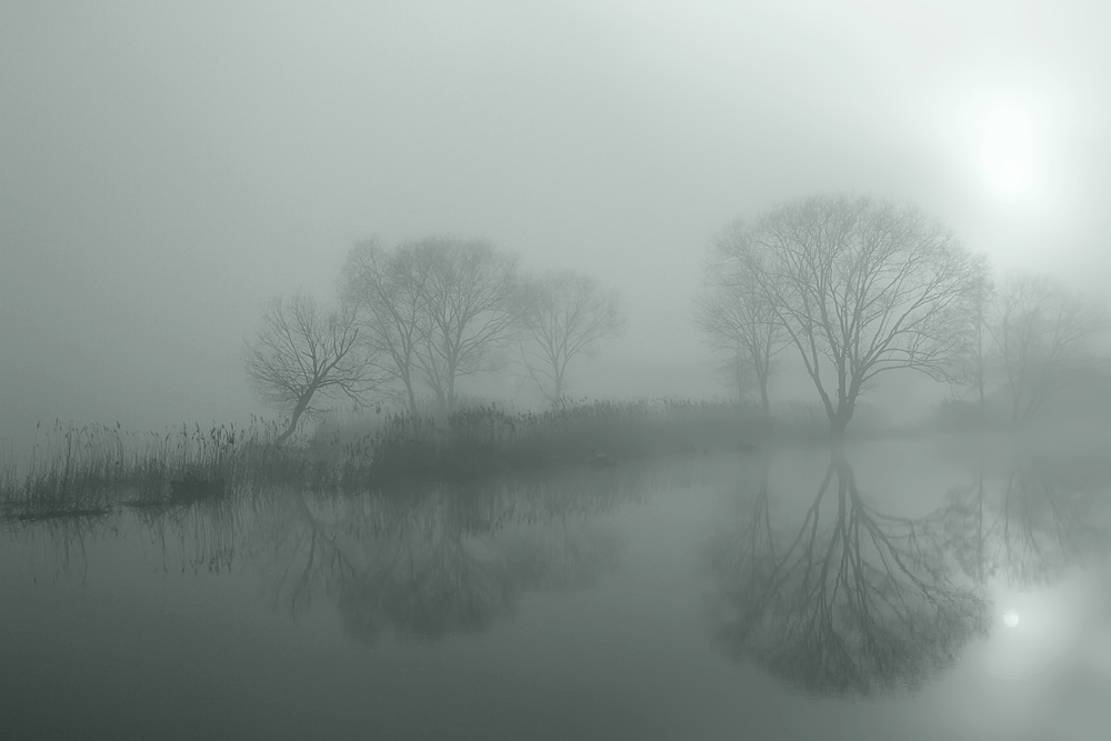 Зябкое утро