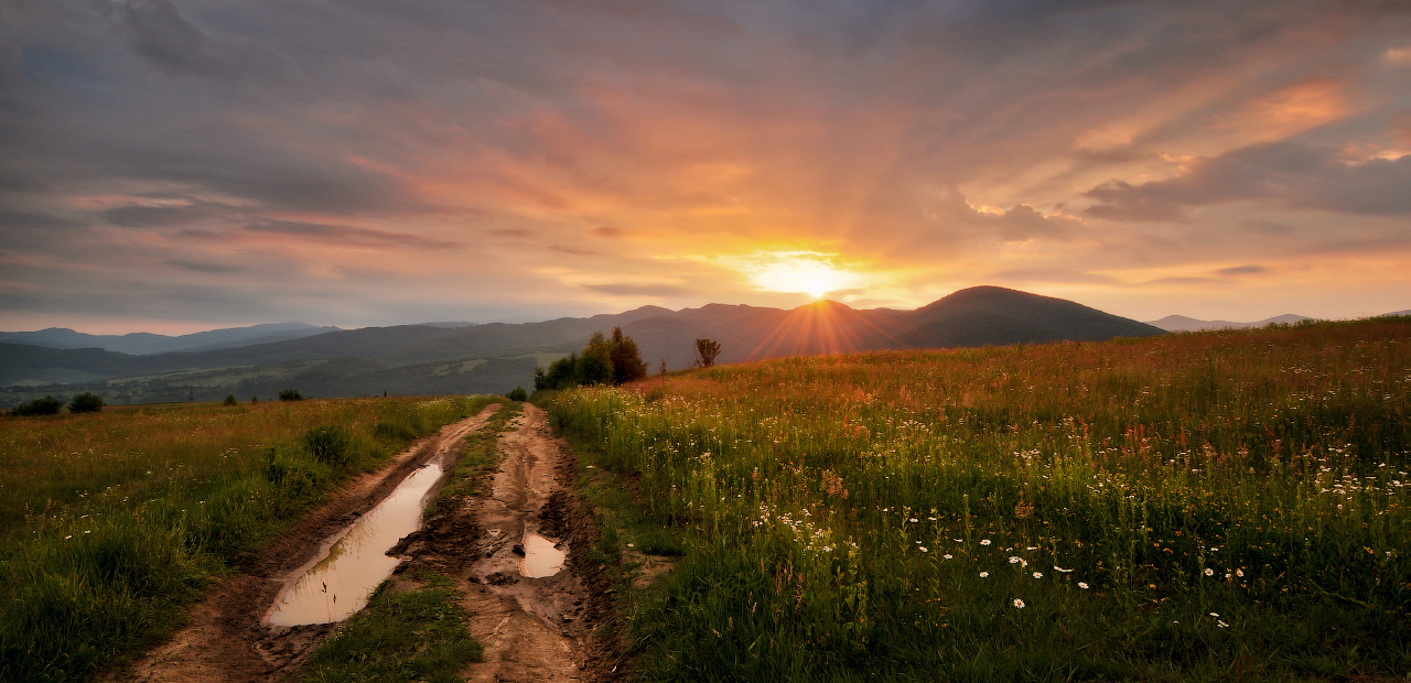 Дорога к солнцу...