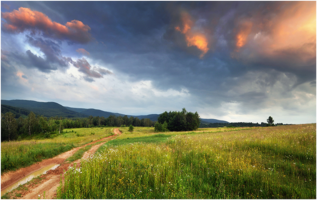 Утром после дождя...
