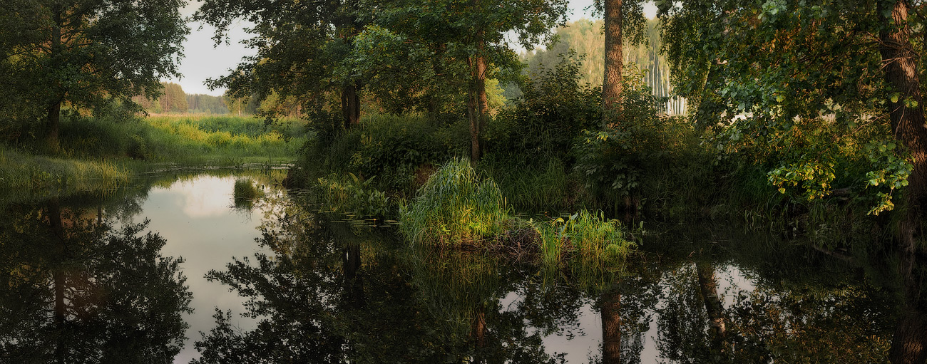 Тихий вечер