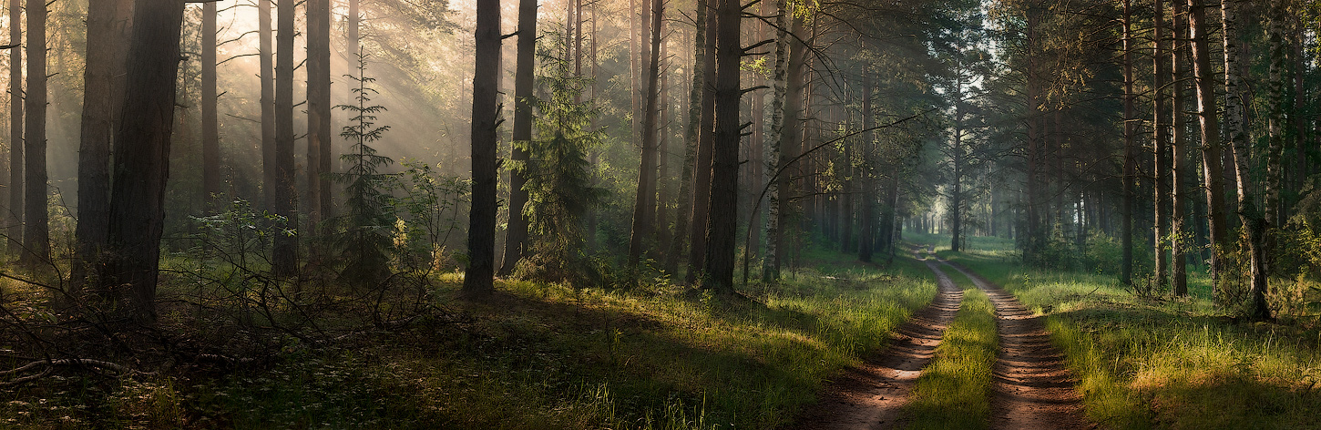 В поисках сюжета