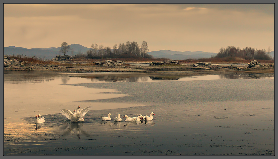 Ноябрьское утро