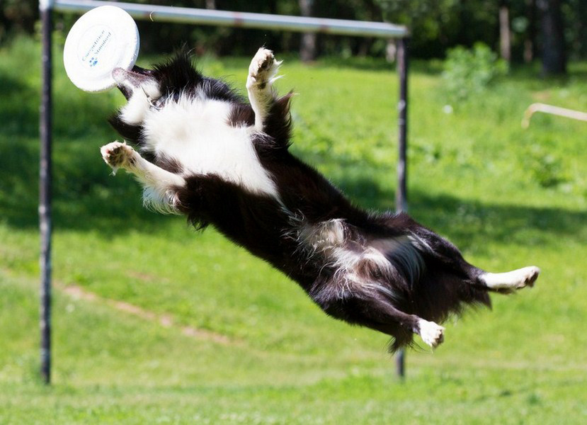 Лучшее на ЧЕ 2012 ...