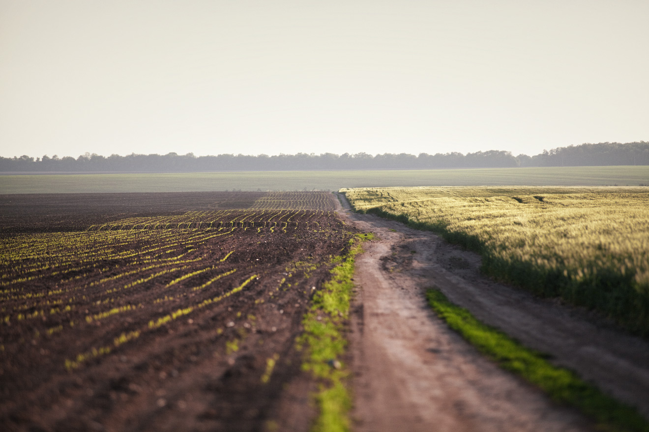 Майские просторы
