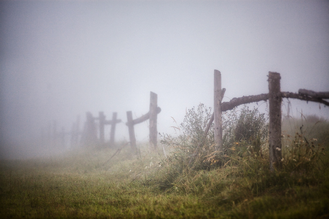 Июльский туман