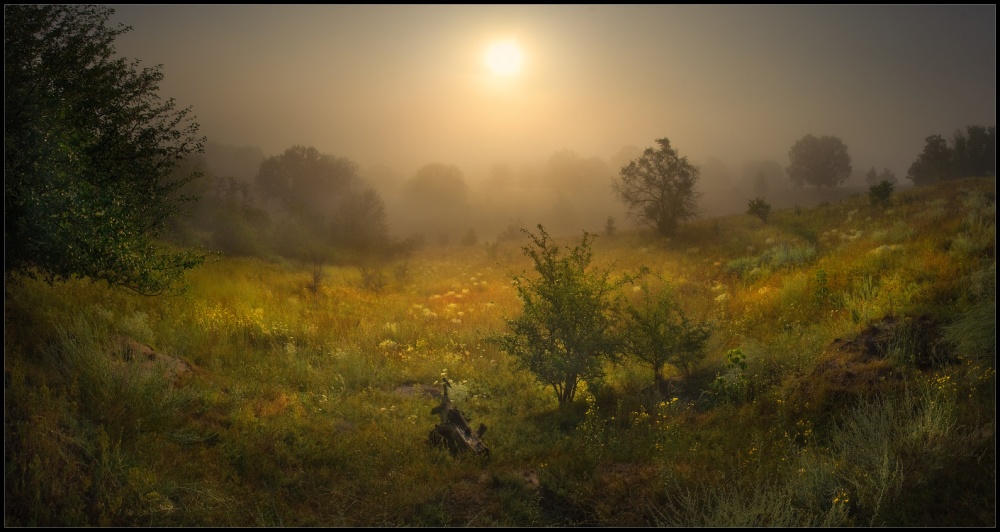 СОН ДУБОВОЙ ДОЛИНЫ и программа мастер-класса впридачу...