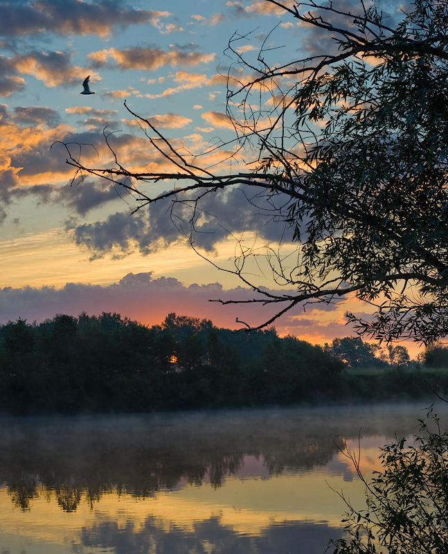 В утренней тишине